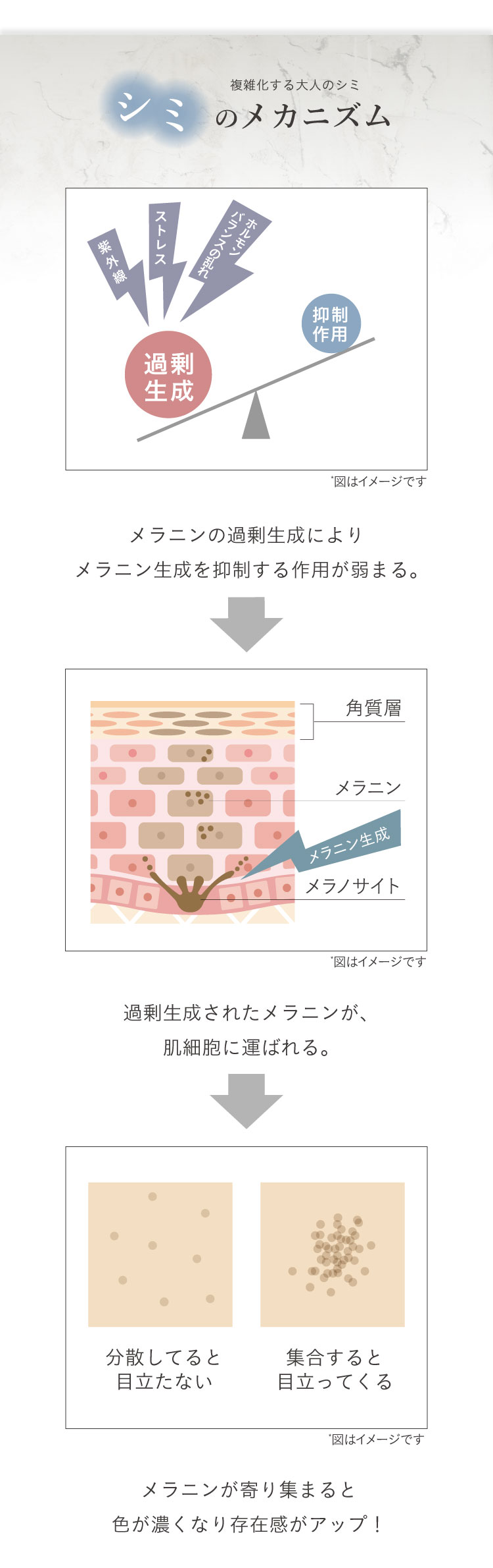 BIOLAB 藥用美白美容液 Sérum Blanchissant 詳情