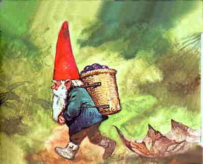 Gnomes